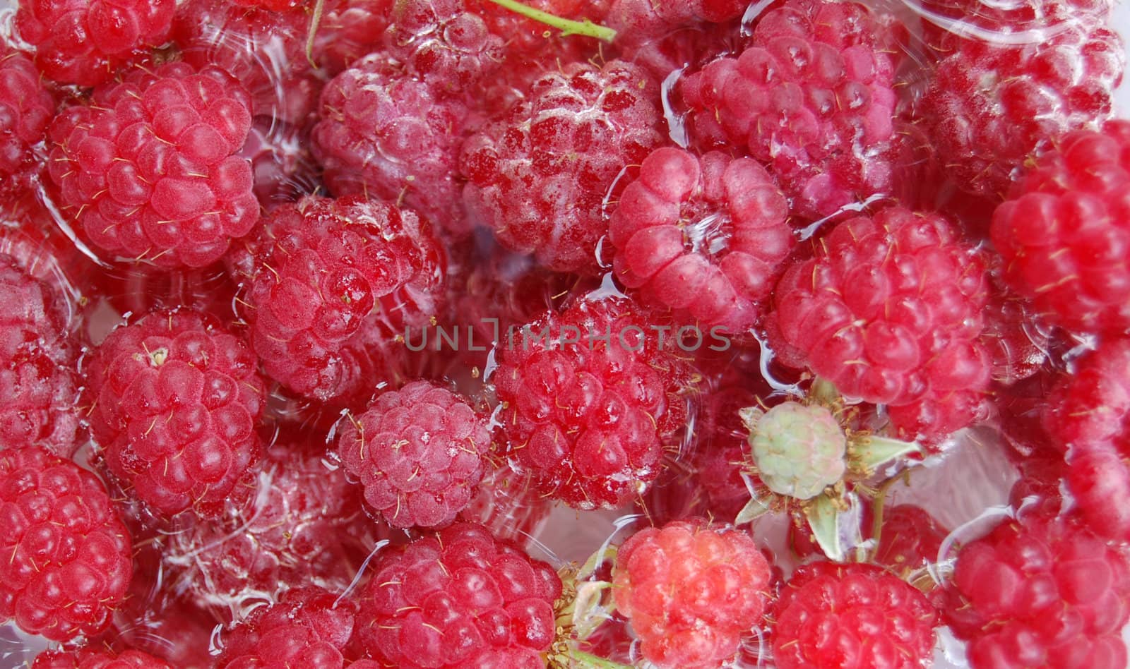 raspberry