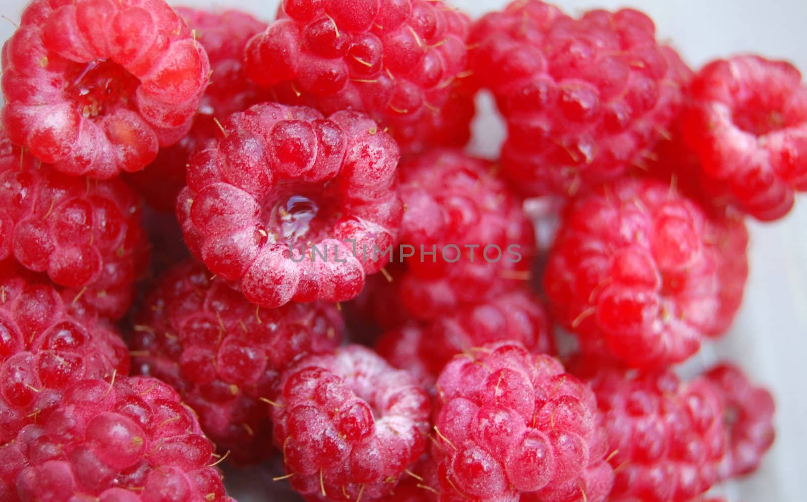 raspvberries