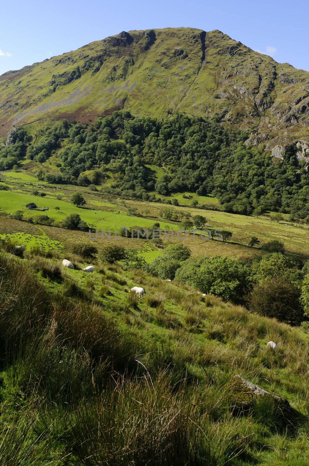 View of Gallt y Wenallt in Snowdonia National Park Gwynedd North Wales