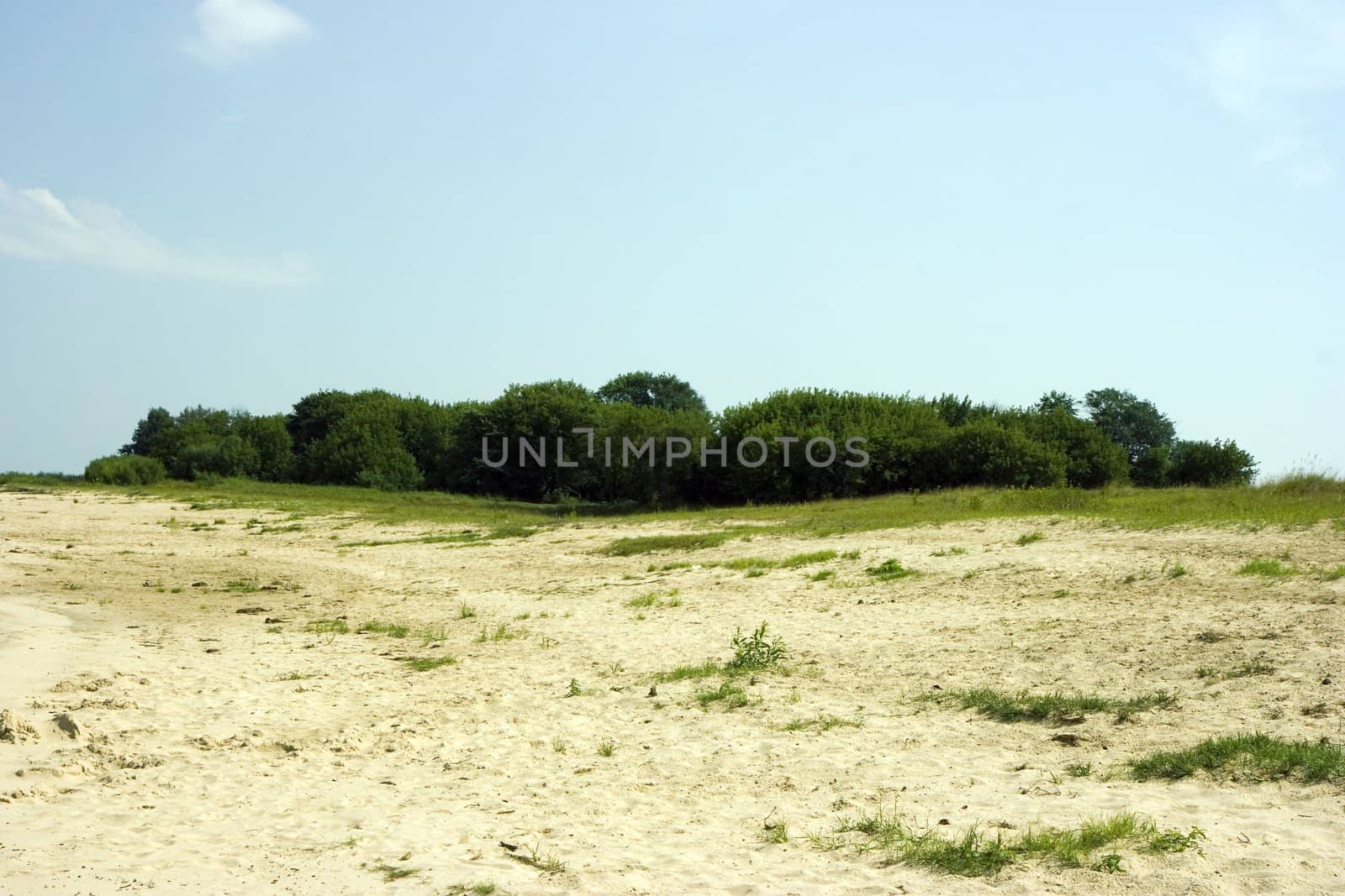Photo of green island against a sandy beach