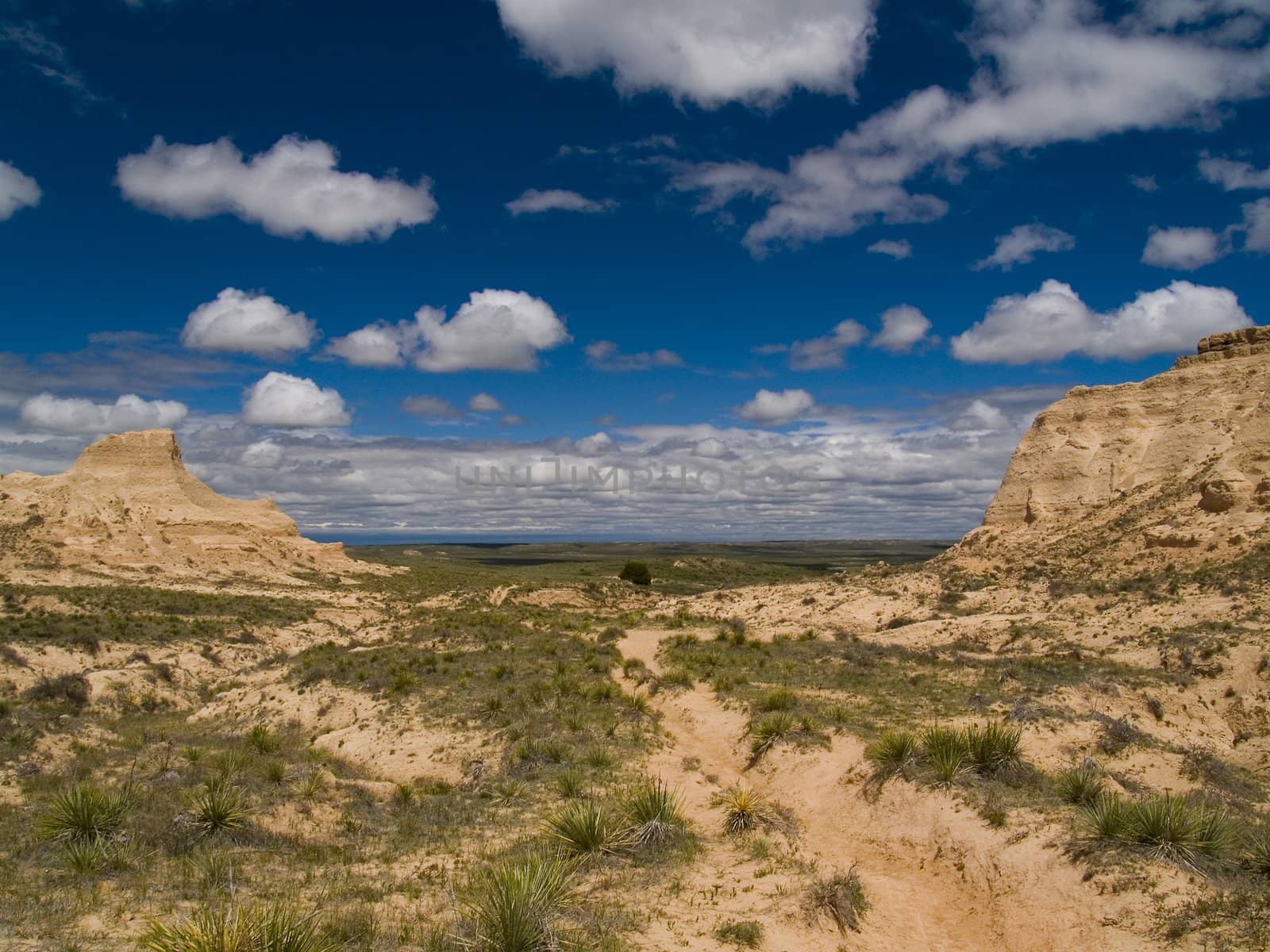 Near Pawnee Buttes on the plains of Colorado.