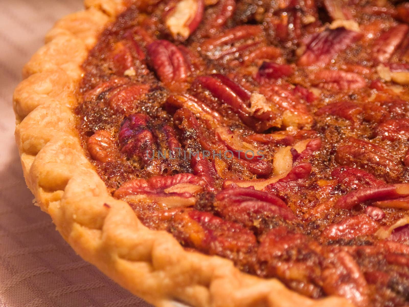 Yummy Pecan Pie fresh from the oven, closeup