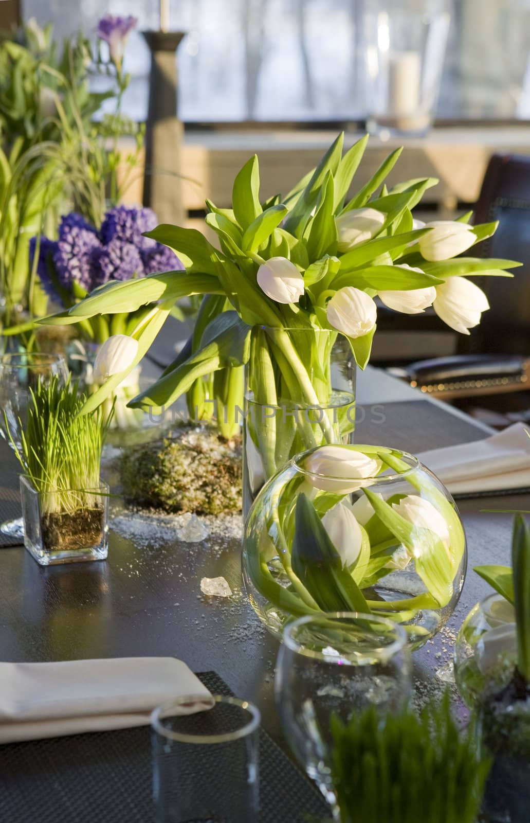 decoration of dining table.  bouquet of  hyacinth in vase of glass.