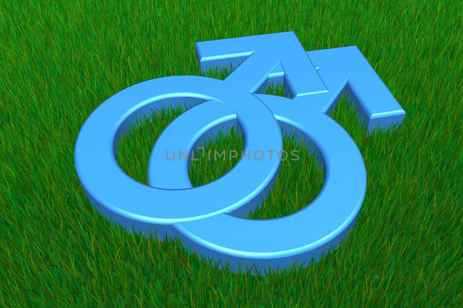 Two Blue Male Symbols on Grass by PixBox