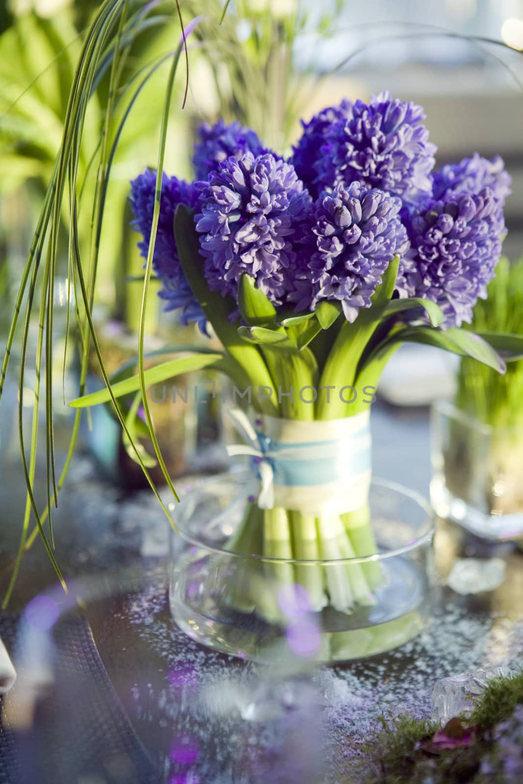 decoration of dining table.  bouquet of  hyacinth in vase of glass.