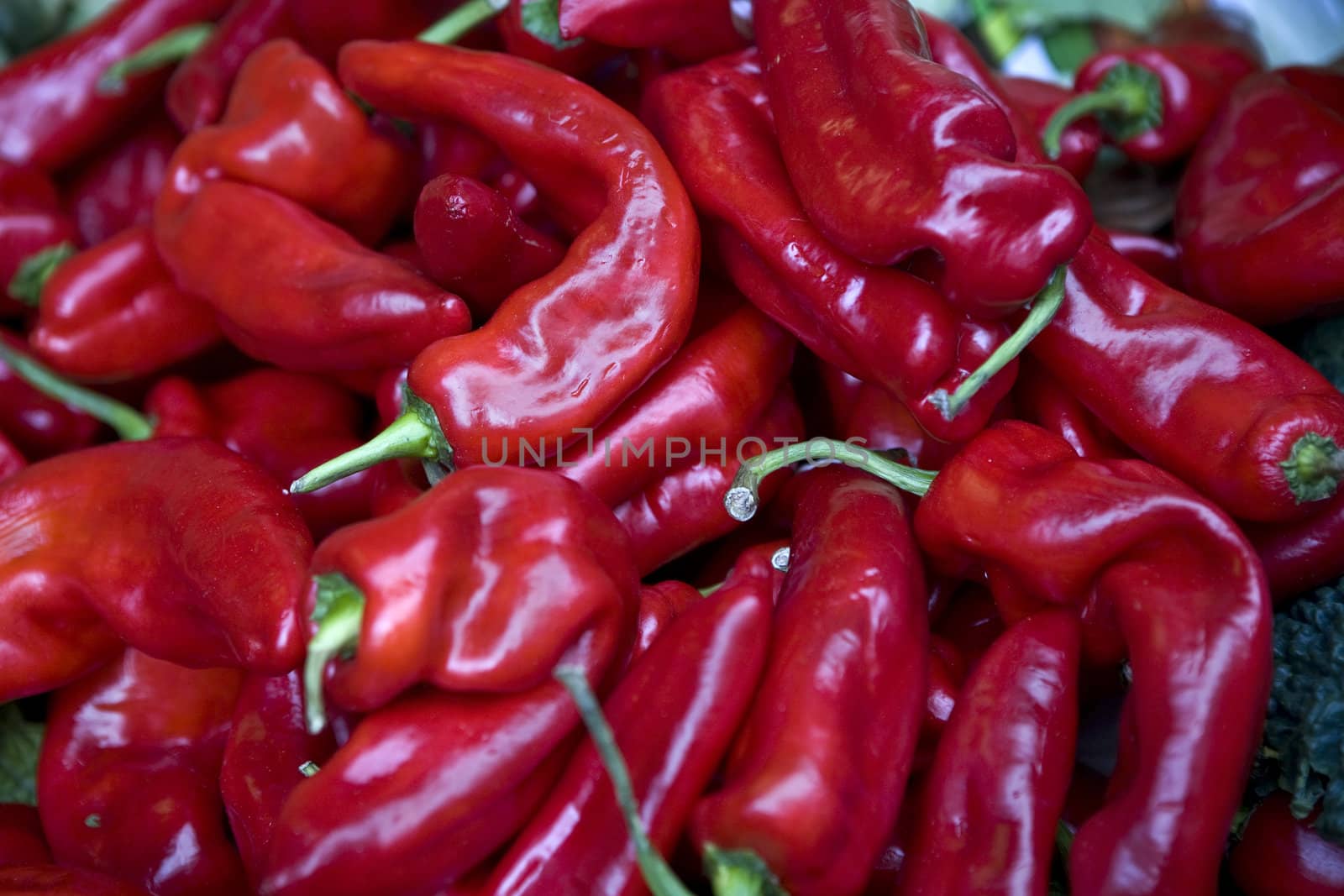 red peppers by elenarostunova