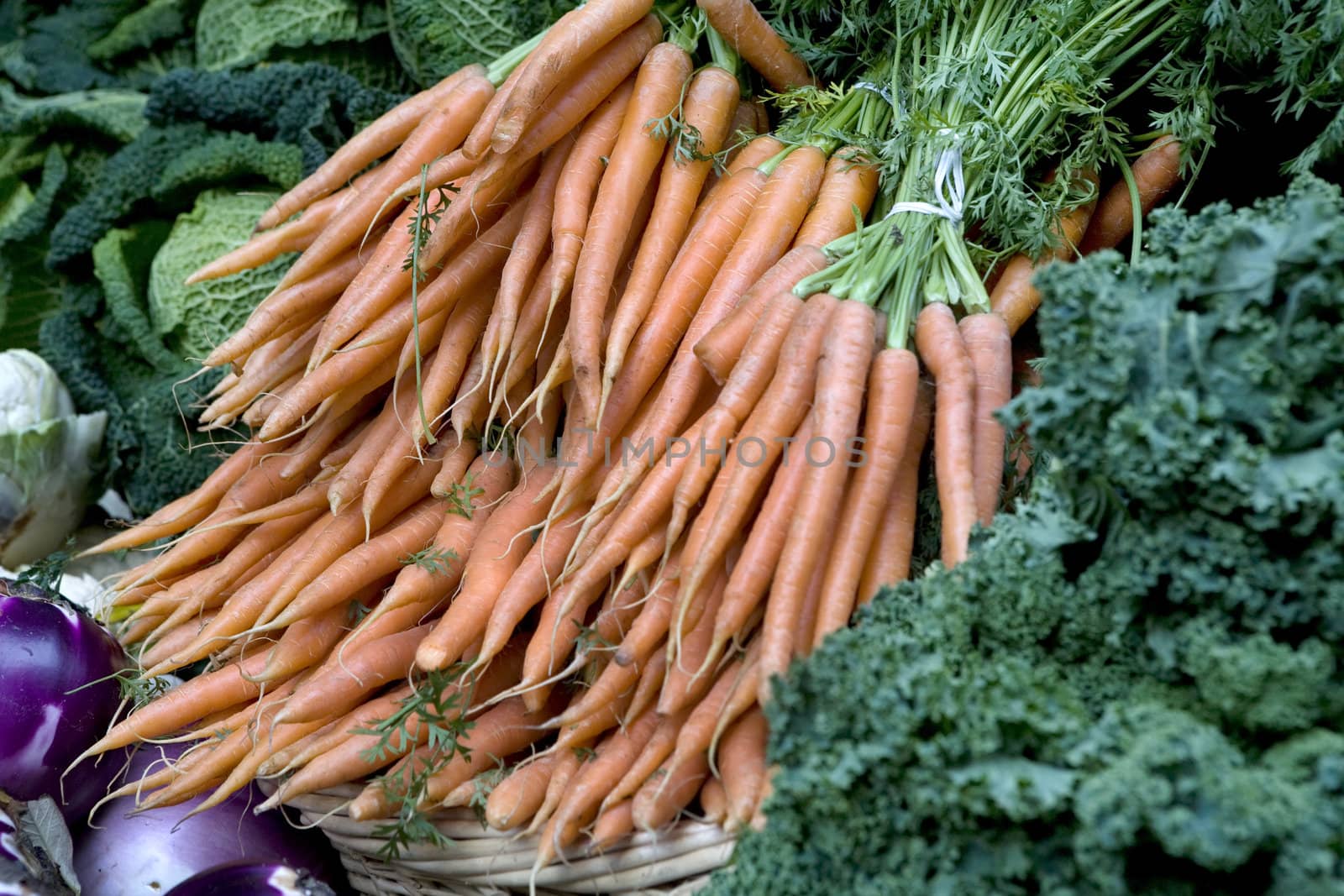 Carrot. Market place by elenarostunova