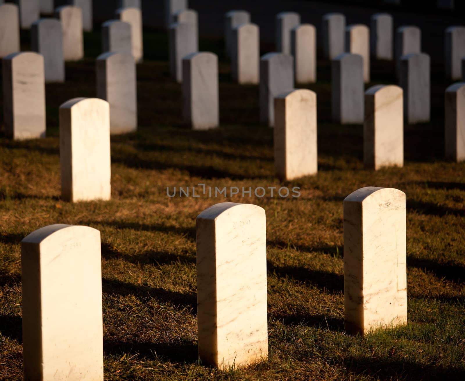 Gravestones lit by the setting sun in Arlington Cemetery