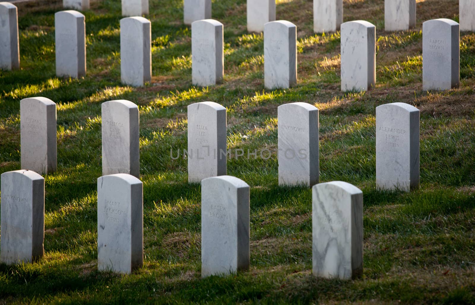 Row of grave stones in Arlington by steheap