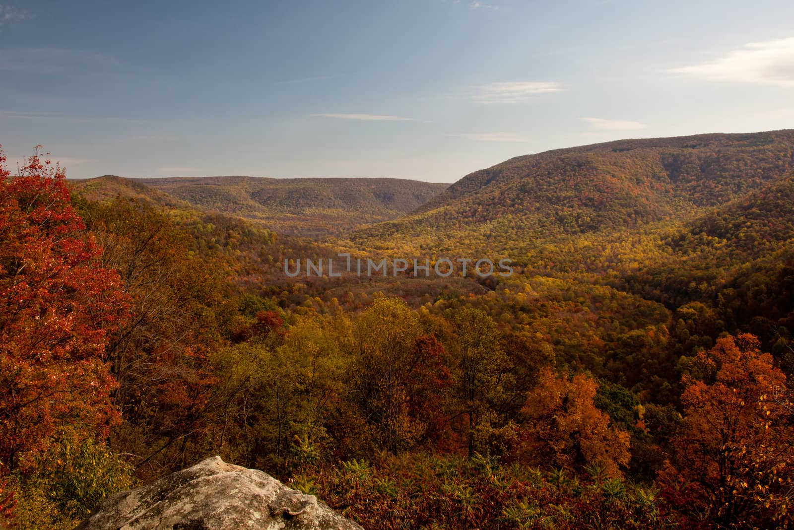 Horizontal view of valley in fall with bright red trees