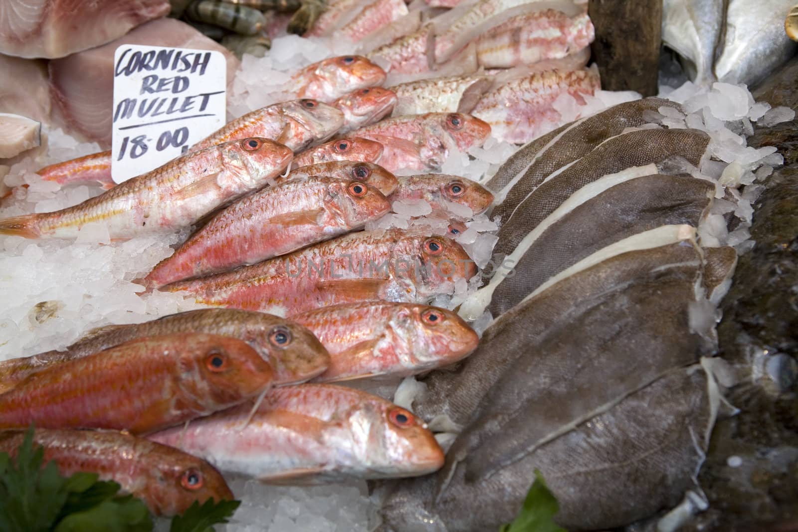 Cornet red mullet