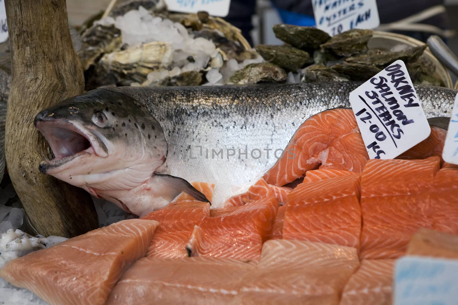 Fish market. Orkney salmon steake by elenarostunova