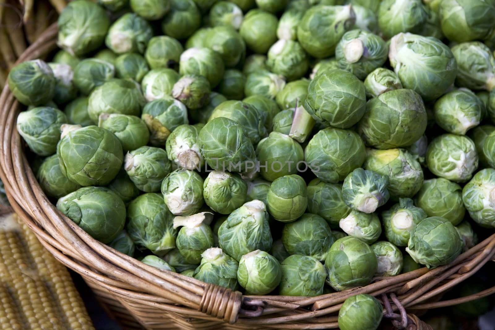 cabbage by elenarostunova