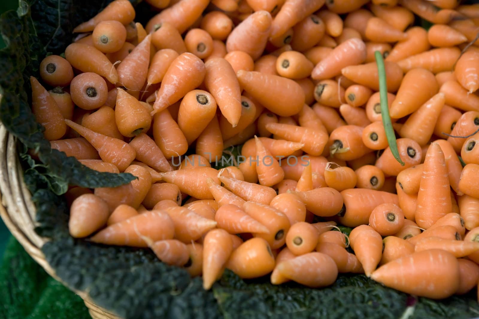 carrot. Food market
