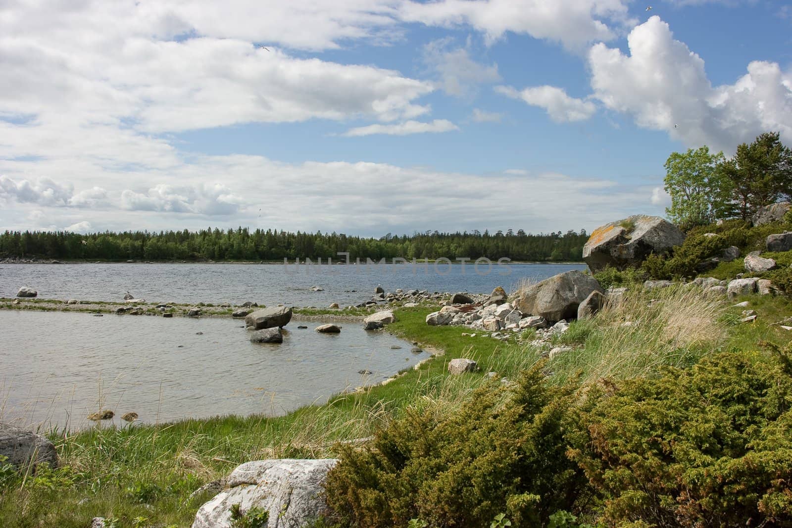 Island in a gulf of northern sea in the summer