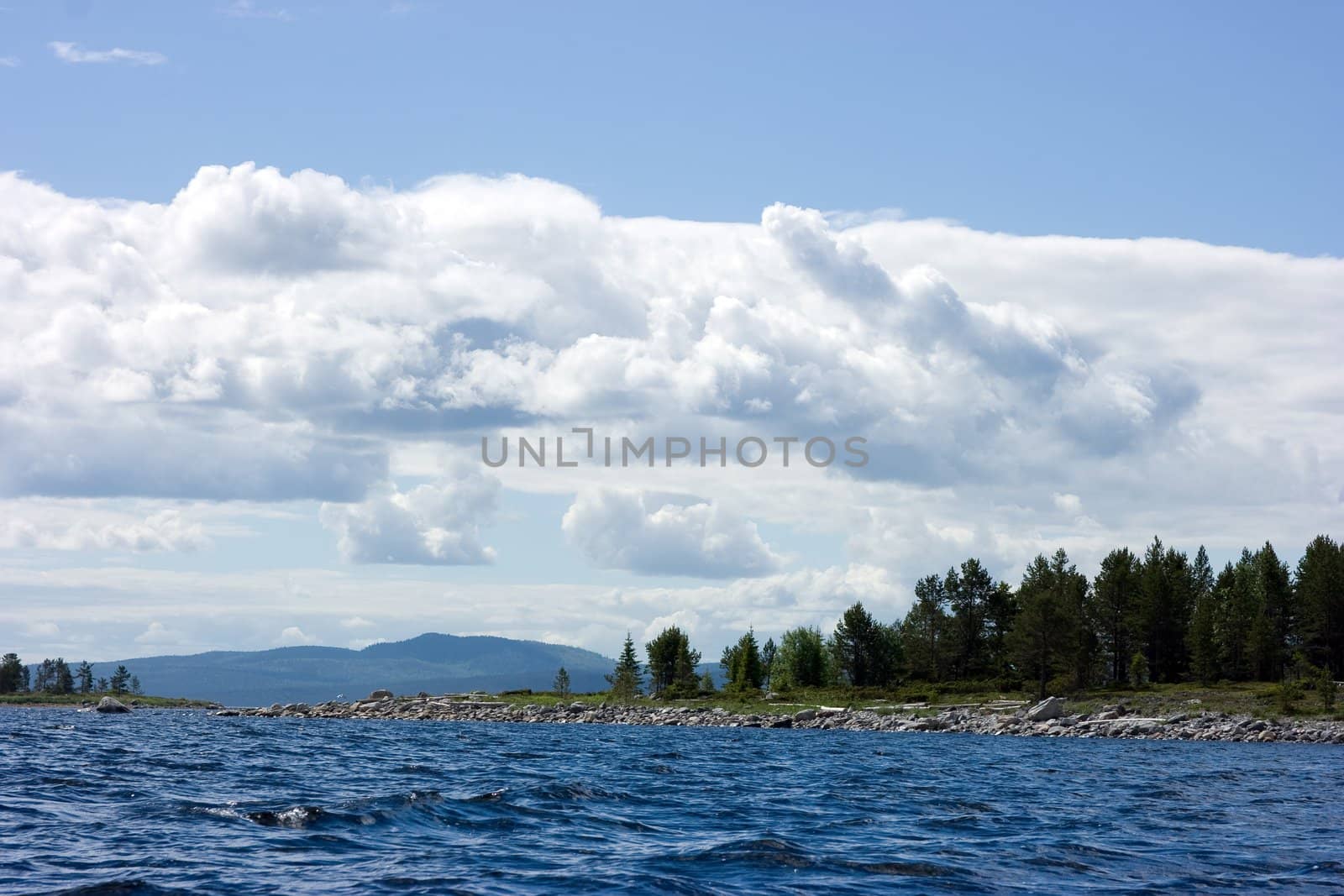Island in a gulf of northern sea in the summer