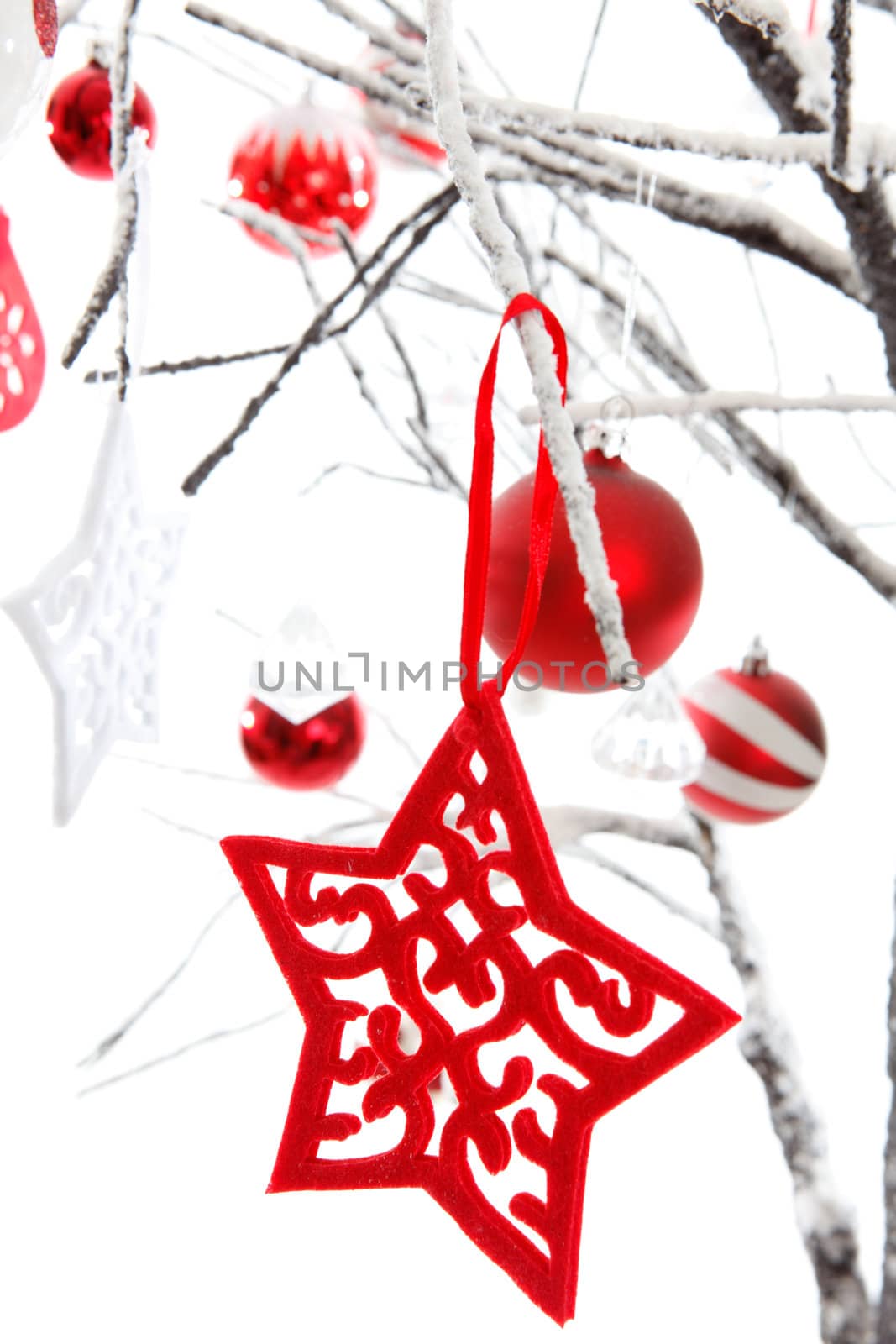 Christmas stars, baubles and other decorations hang from snow covered branches. White background