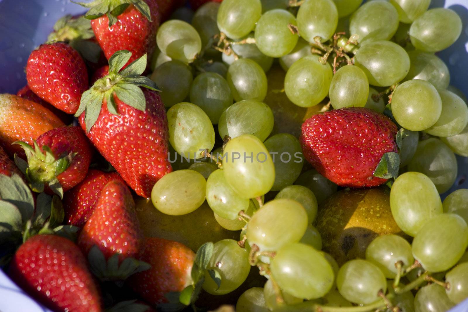 an assortment of mixed fruits
