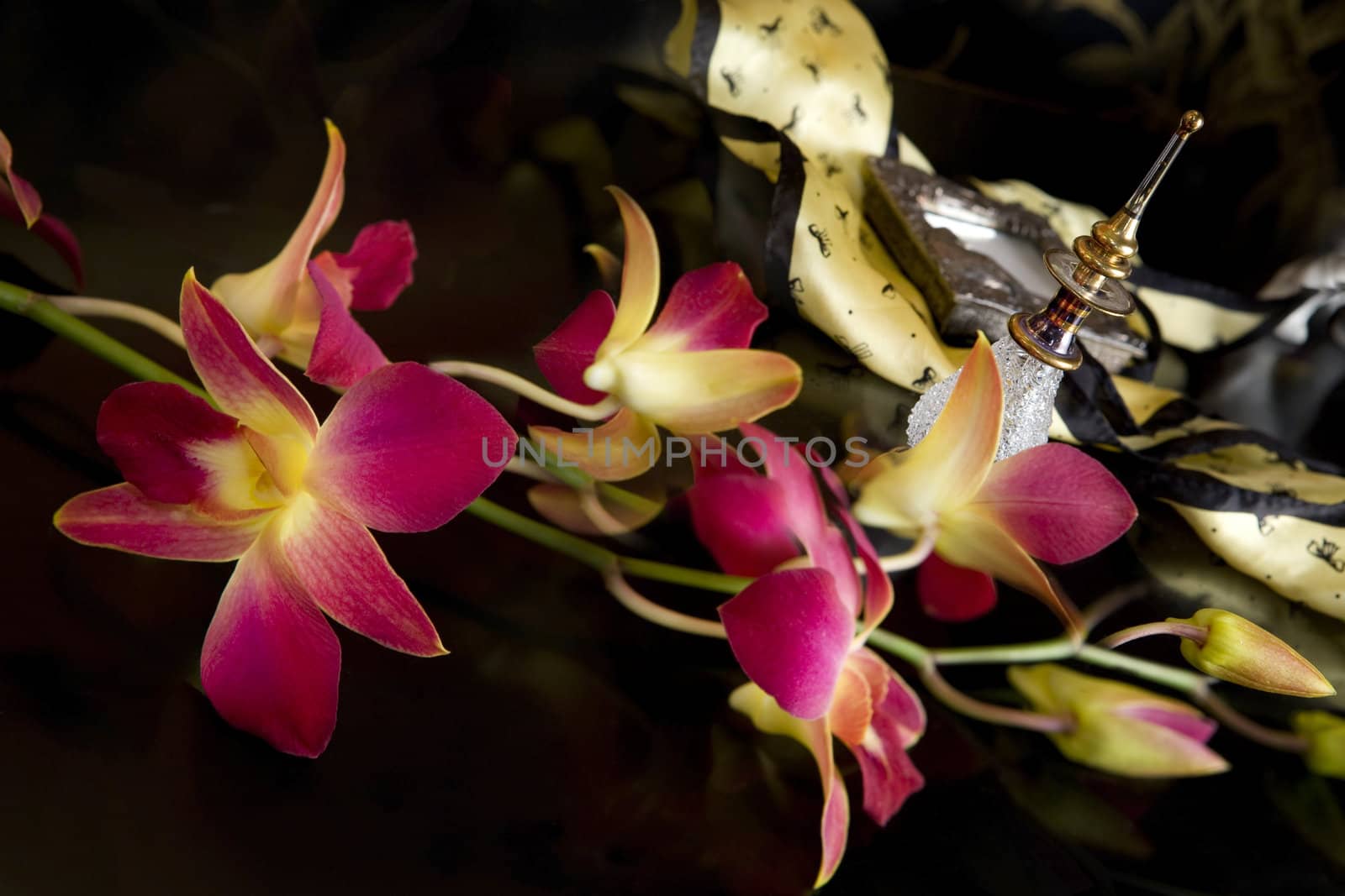 bottle of perfume and orhid on black table