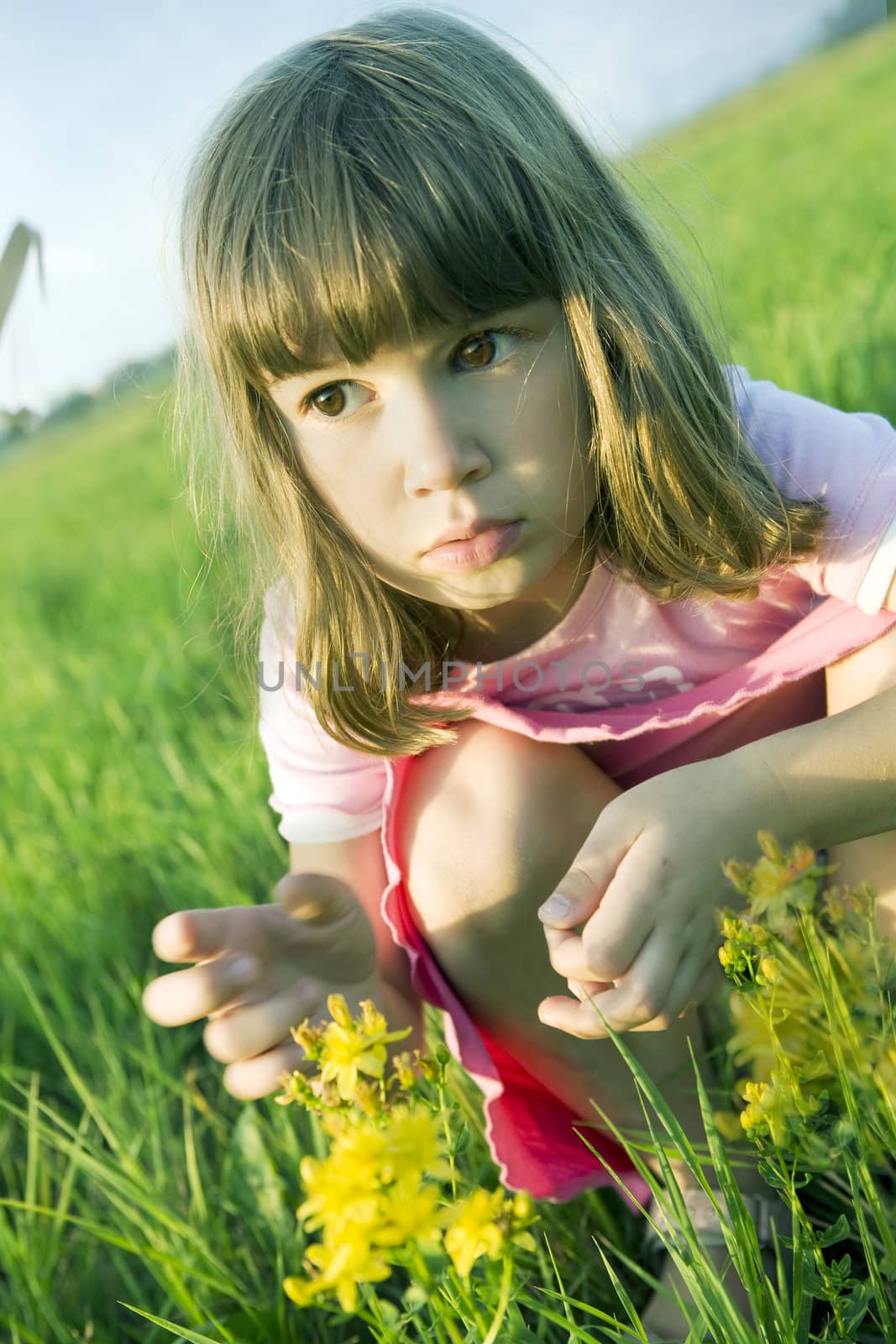 portrait young girl with flower in the middle of the meadow 