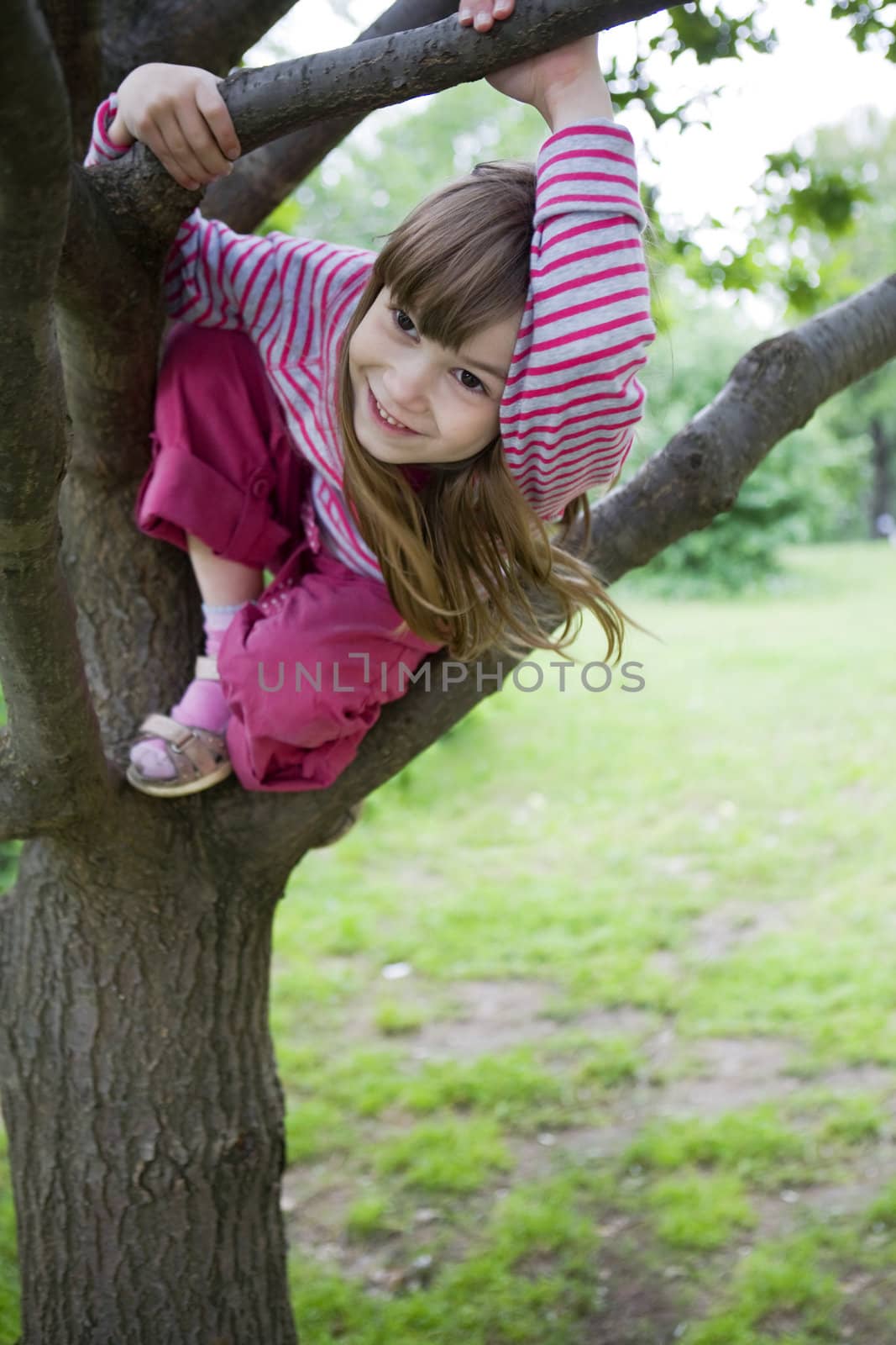 little cute smiling girl  seven years old with long hair climb on tree. Summer time