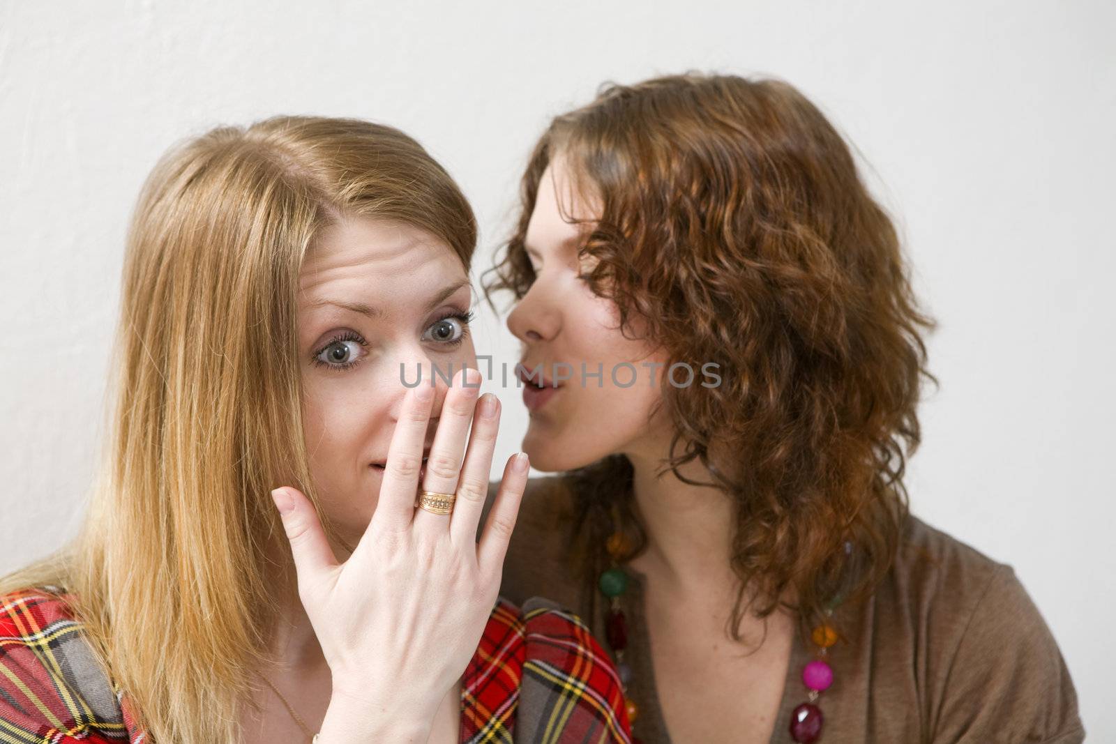 two happy young girlfriends  gossiping over white