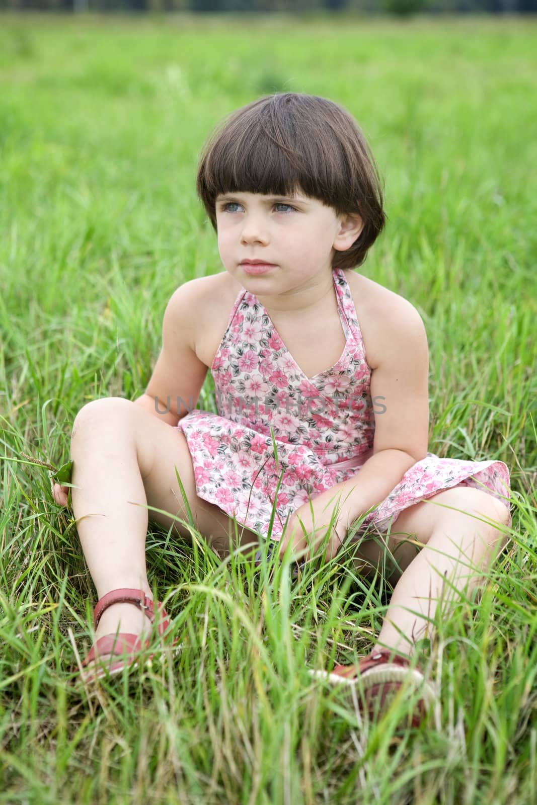 little cute girl sitting on grass in middle of meadow