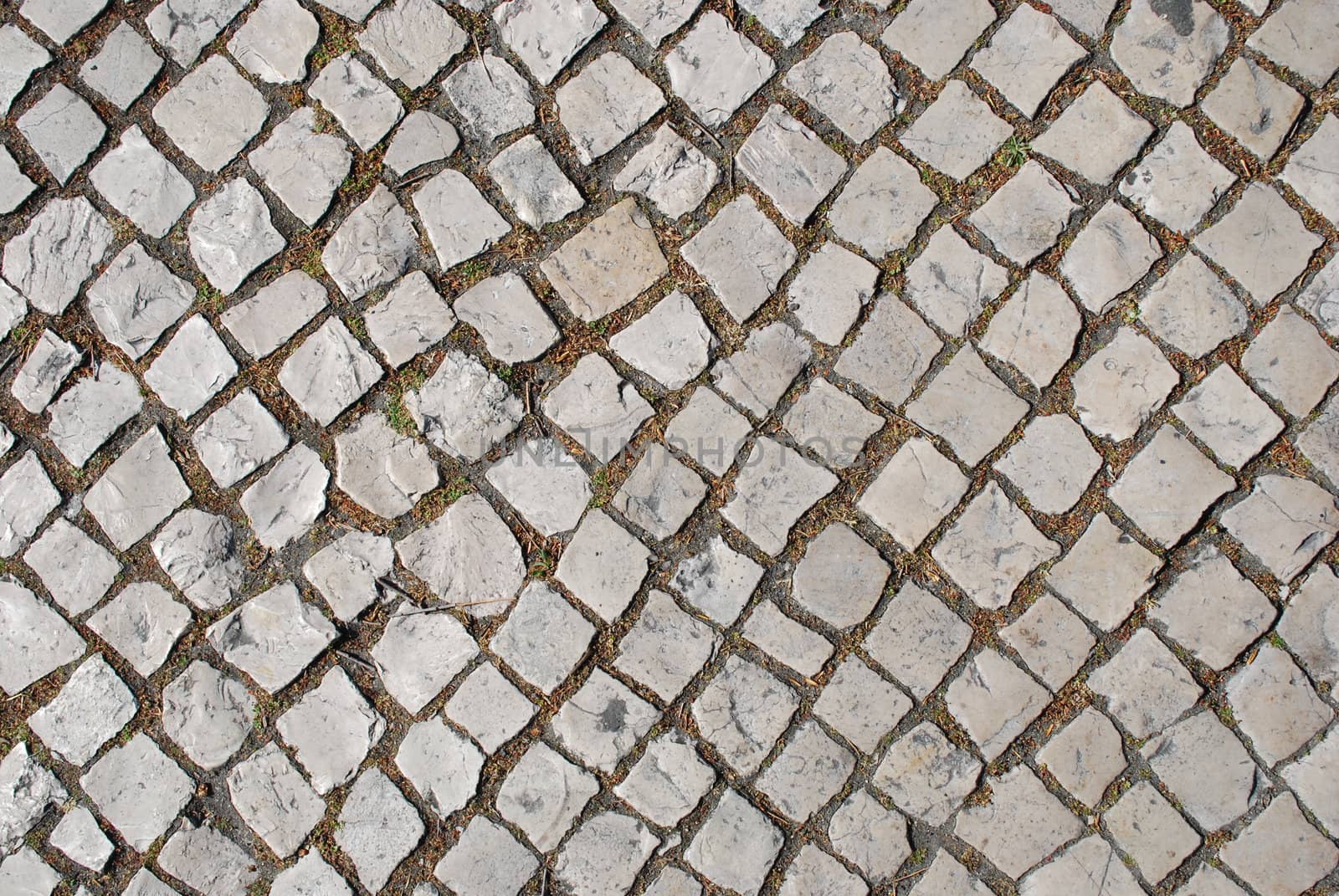 portuguese typical pavement