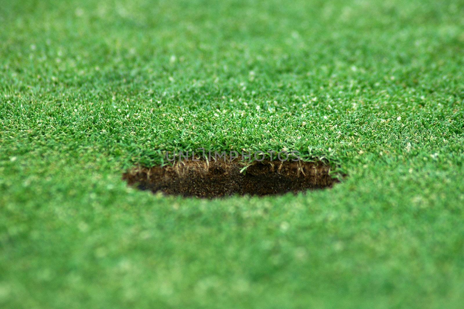 green short cutted grass, brown golf hole