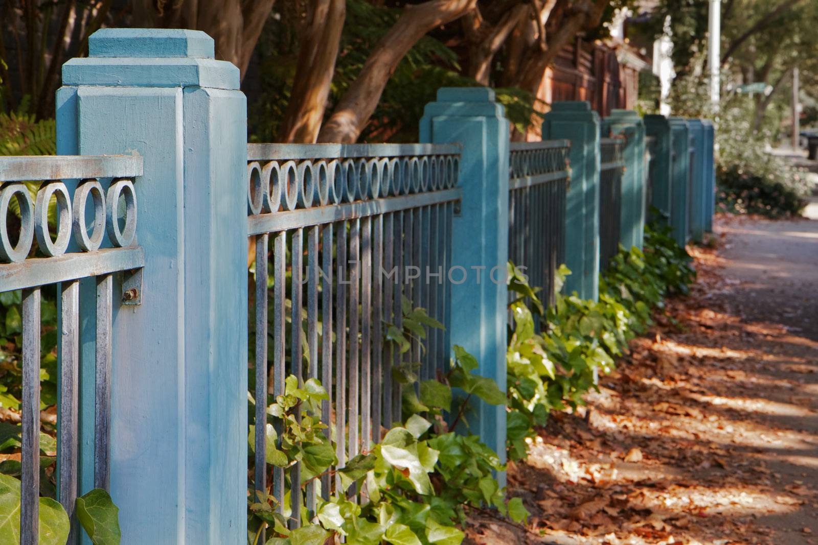 Blue metal and wood fence dimishing in distance with soft focus trees in background
