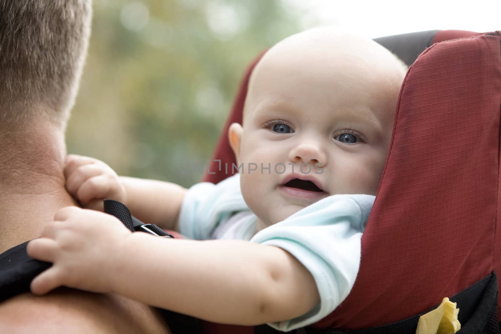 little cute girl sitting in sling holding for father shoulders. Summer time