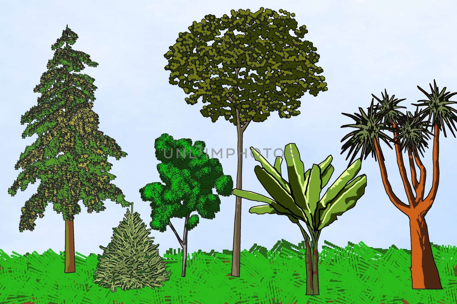 Six artistic trees from different parts of the world - a raster illustration.