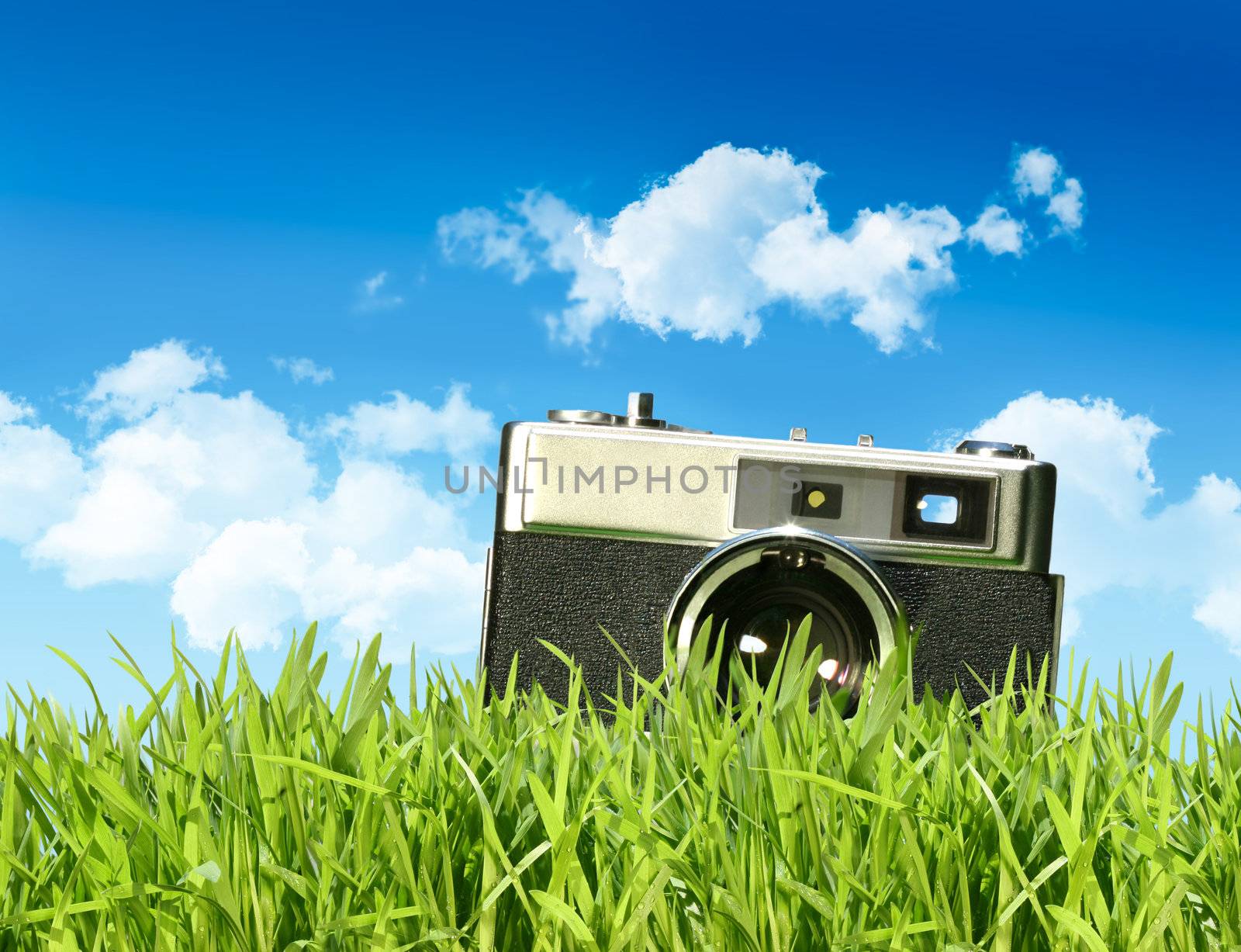 Vintage camera in tall grass against a blue sky