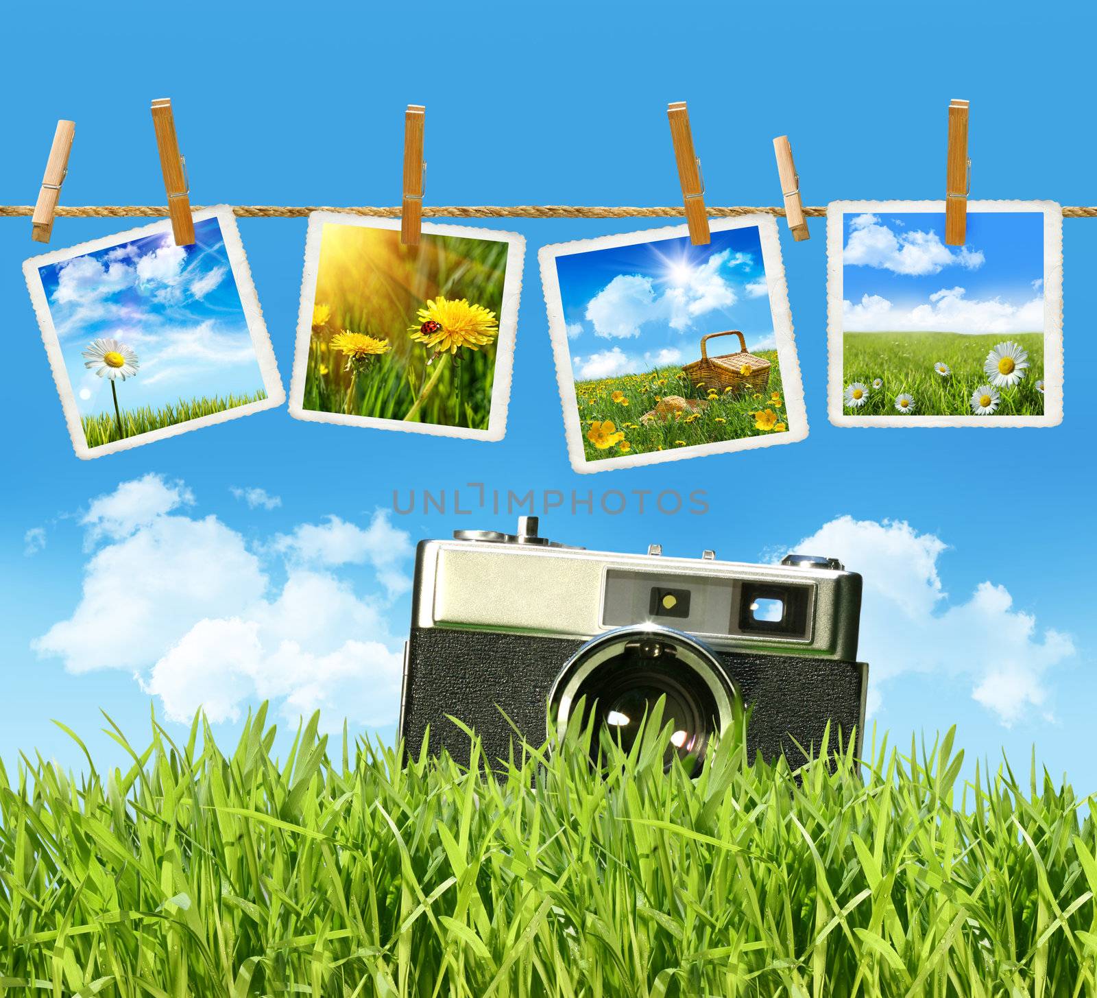 Tall grass with old vintage camera and pictures on clothesline
