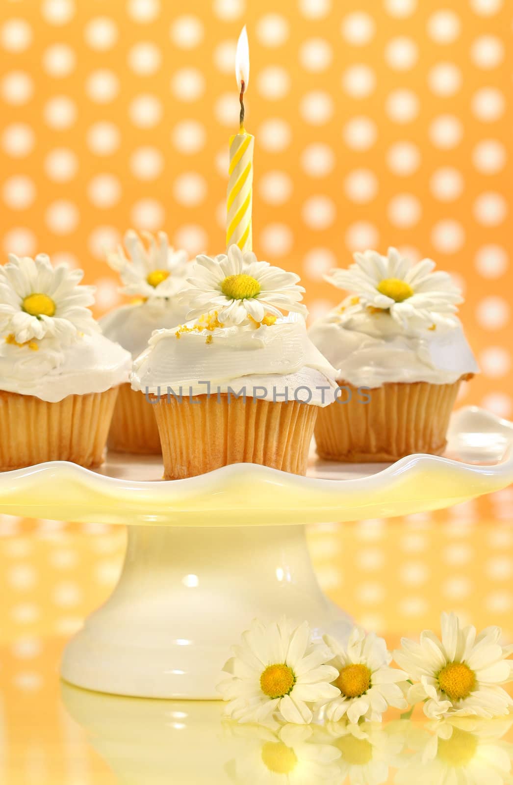 Cupcakes decorated with icing and little daisies on cake tray