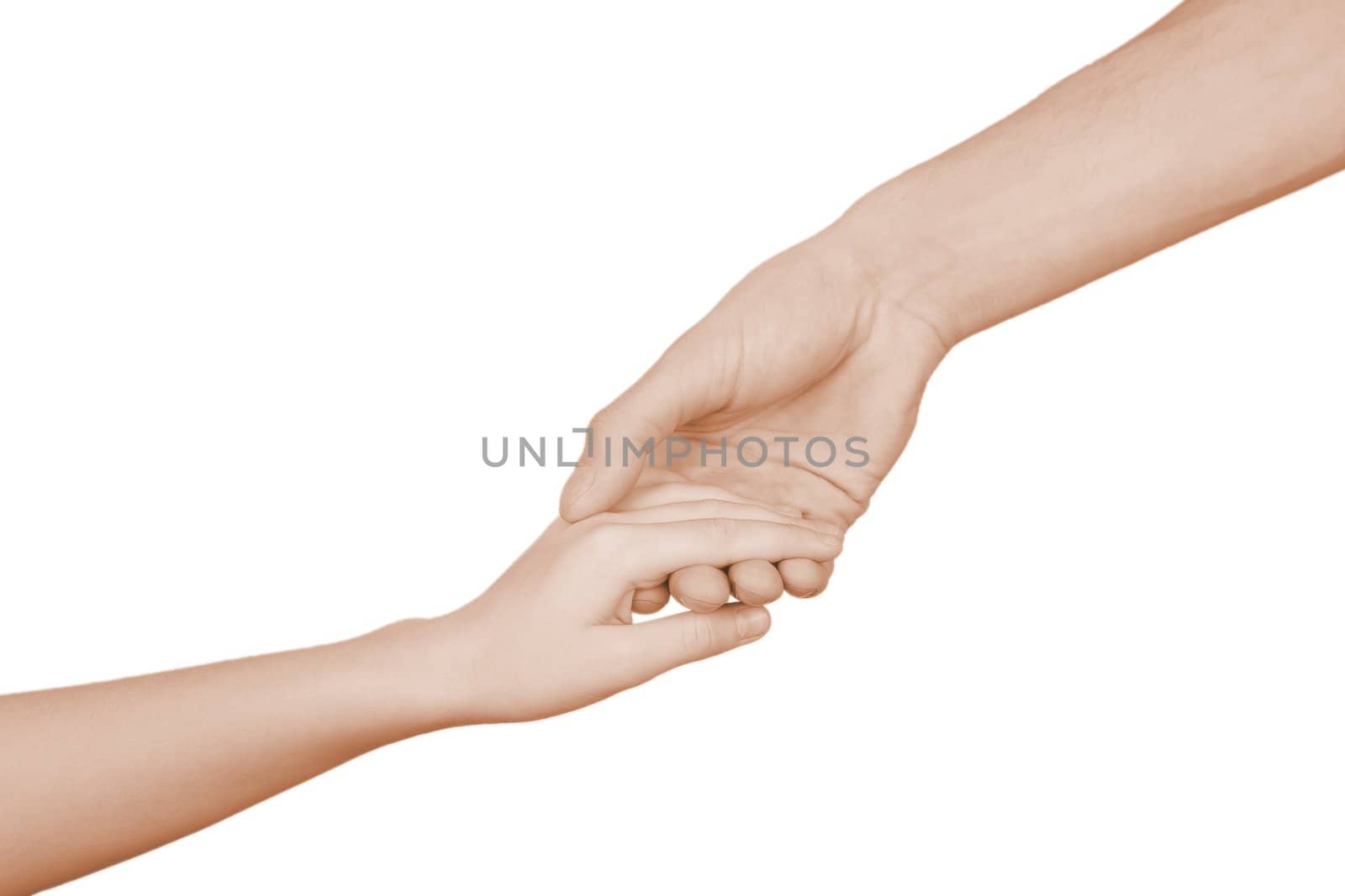 The man's hand holds a hand of the child on a white background
