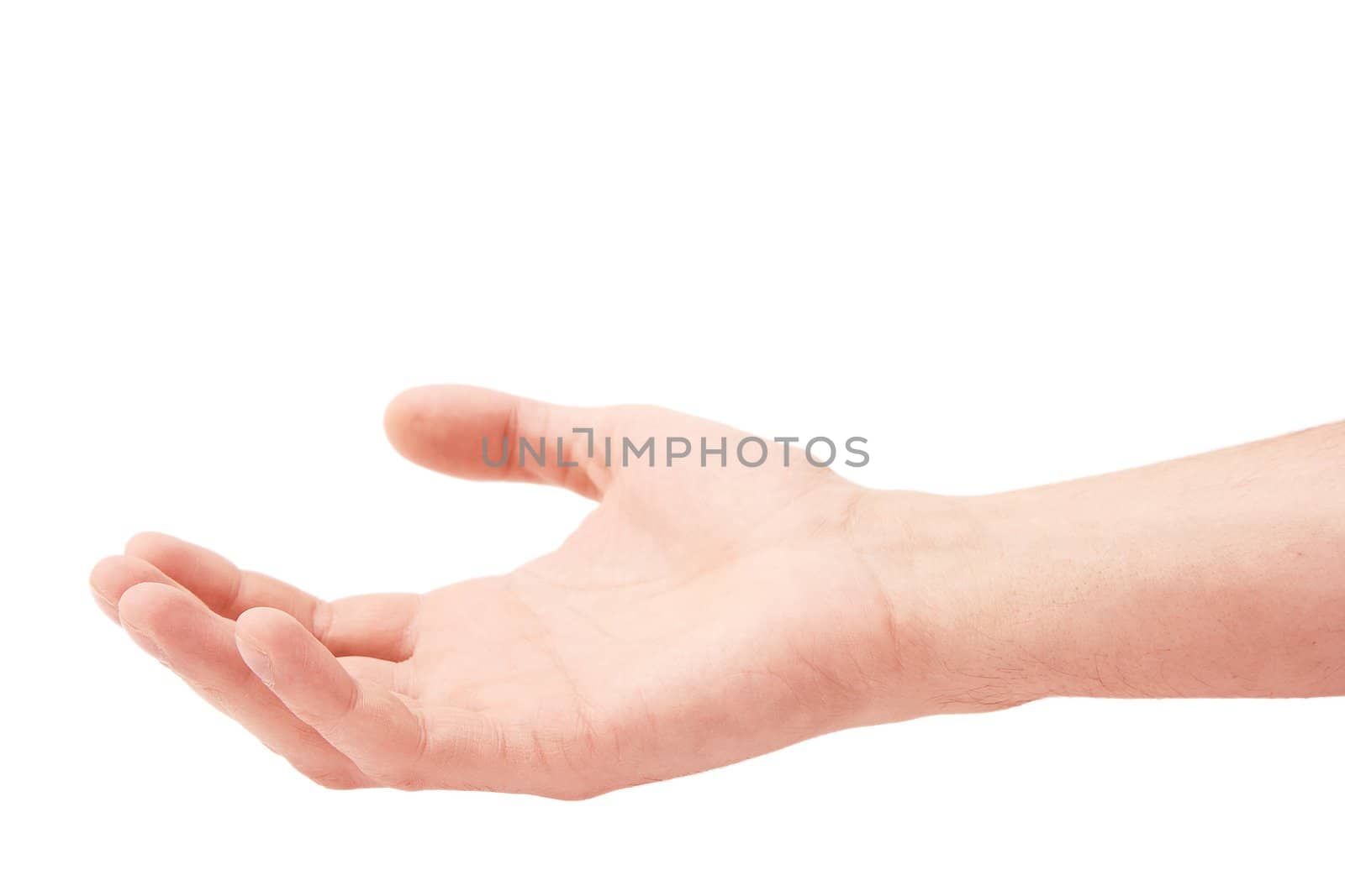 Hand of the man palm up on a white background
