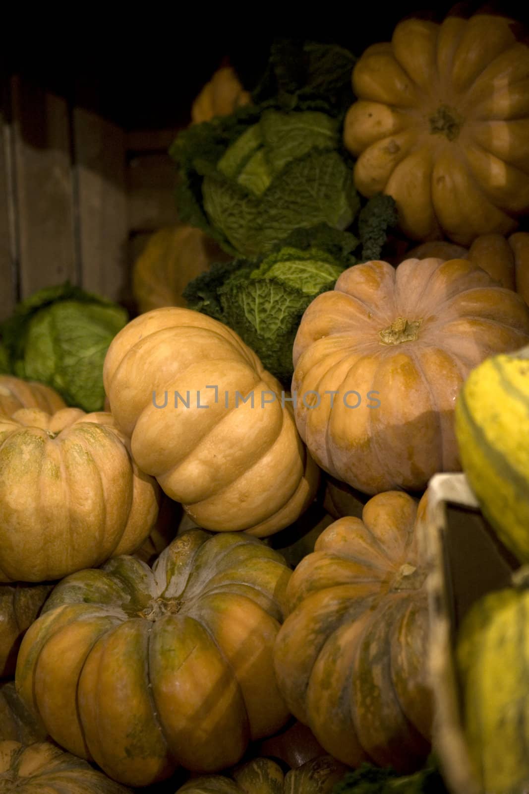 Pile of pumpkins. by elenarostunova