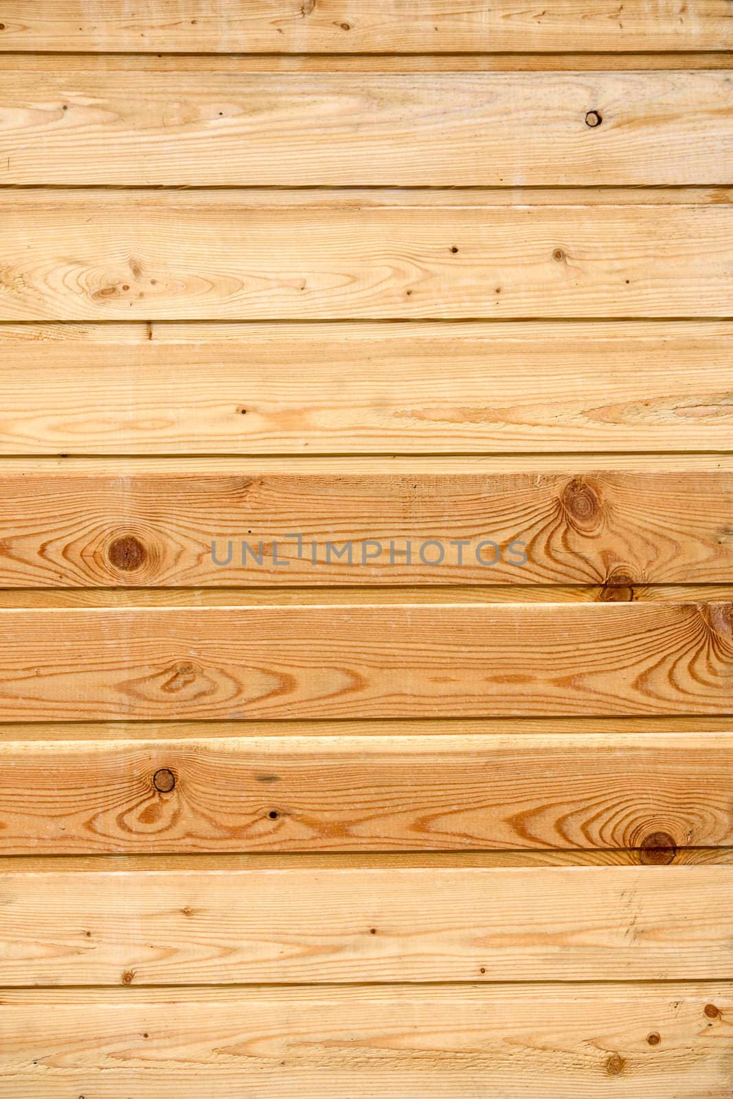 Background wood grain surface.