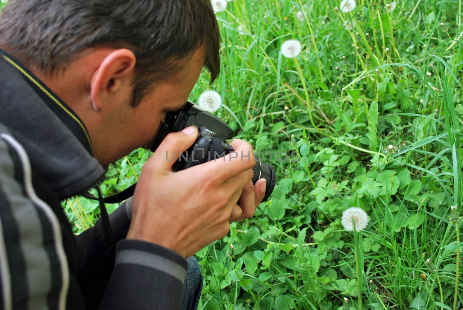 photographer pointing his camera to several dandelions