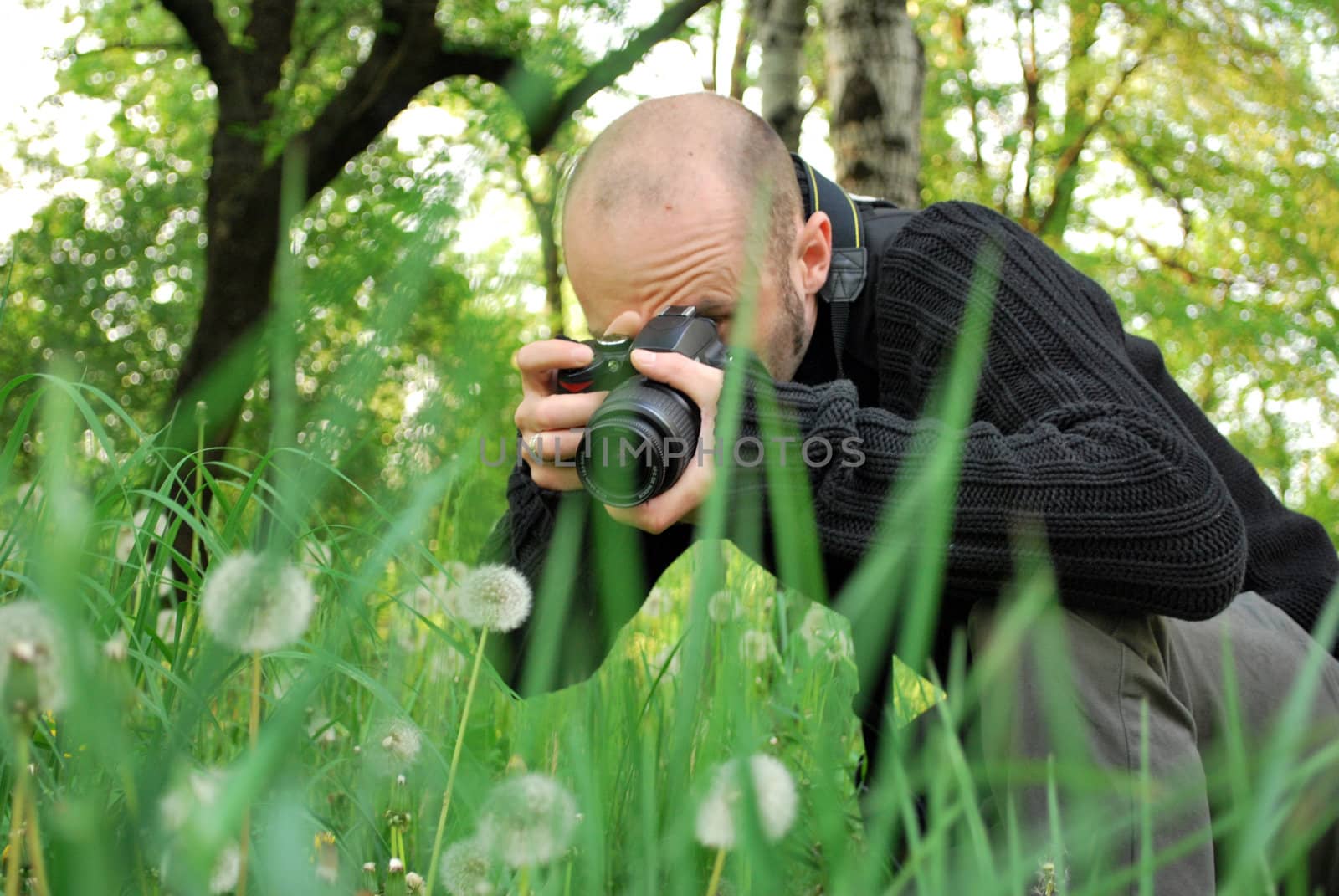 photographer pointing his camera to several dandelions
