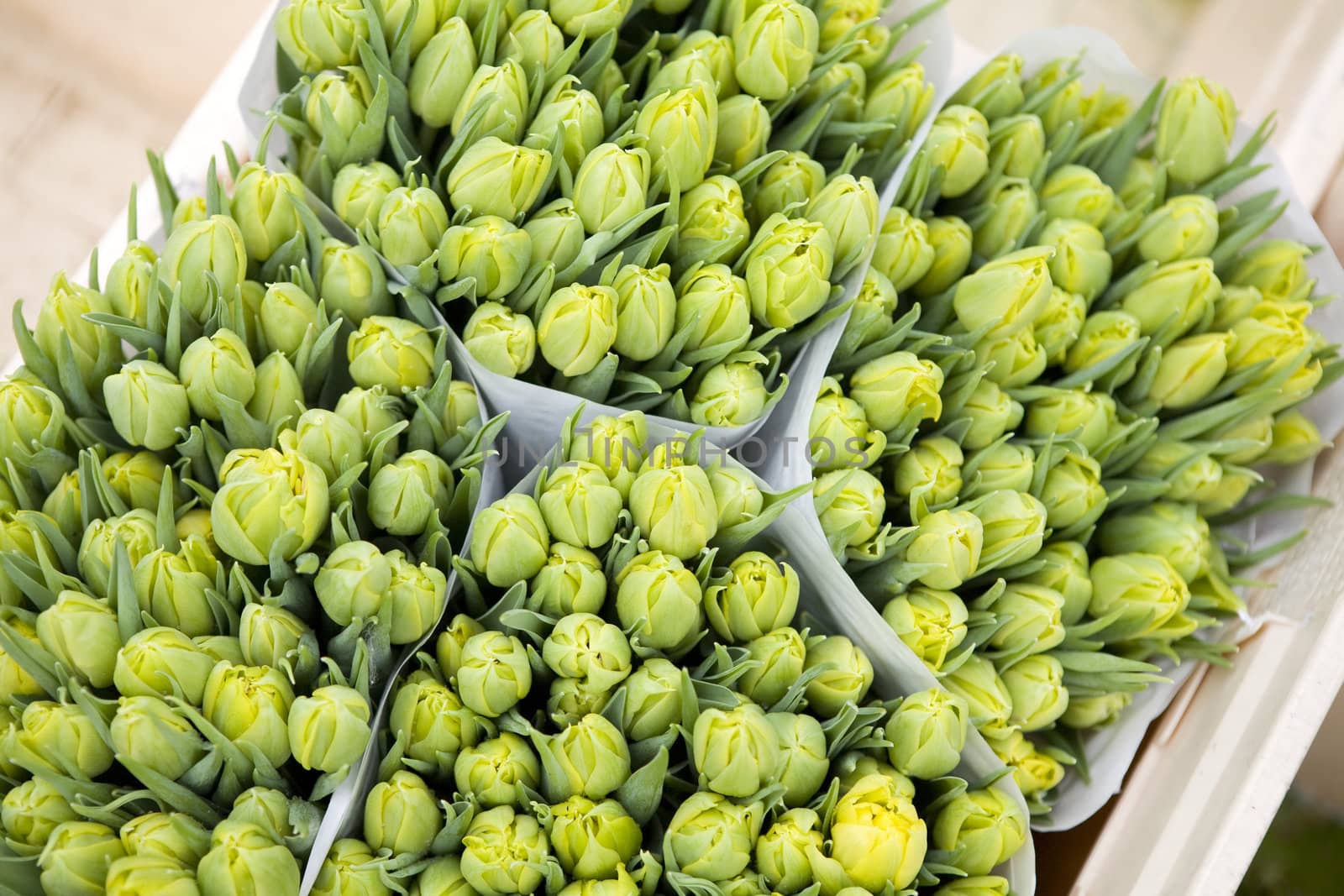 yellow tulips in the bucket. Flower market