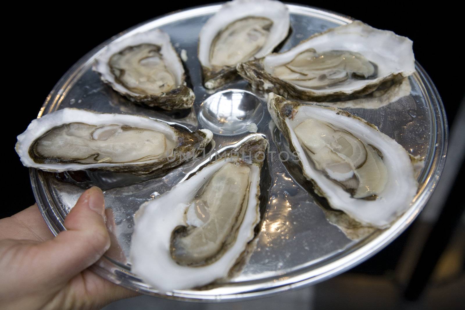 oyster on plate