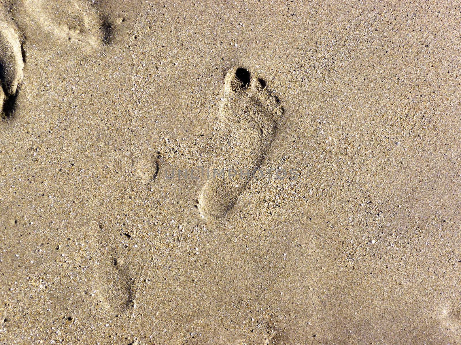 Footprint on the wet beach sand