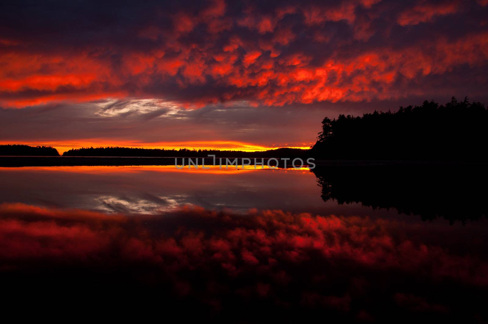 Beautiful mirror image showcasing natures natural colors at sunset in Tofino, B.C., Canada, a popular surf destination on Vancouver Islands Pacific Rim.  Silhouette of treeline & distant island cut the image in half.