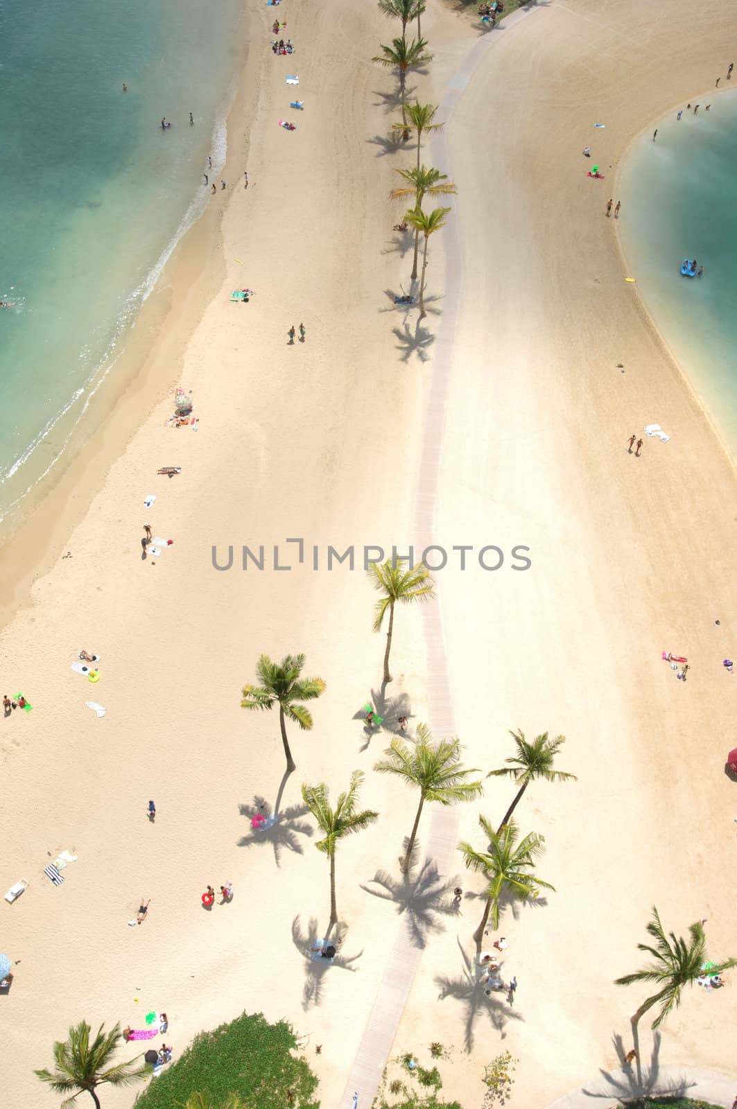 Looking down at Hawaii's Waikiki Beach in Honolulu where bathers enjoy the sand and surf litterd with palm trees.