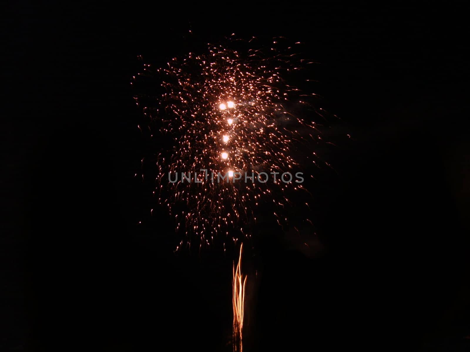 multicolored fireworks isolated on a black sky (fifth)