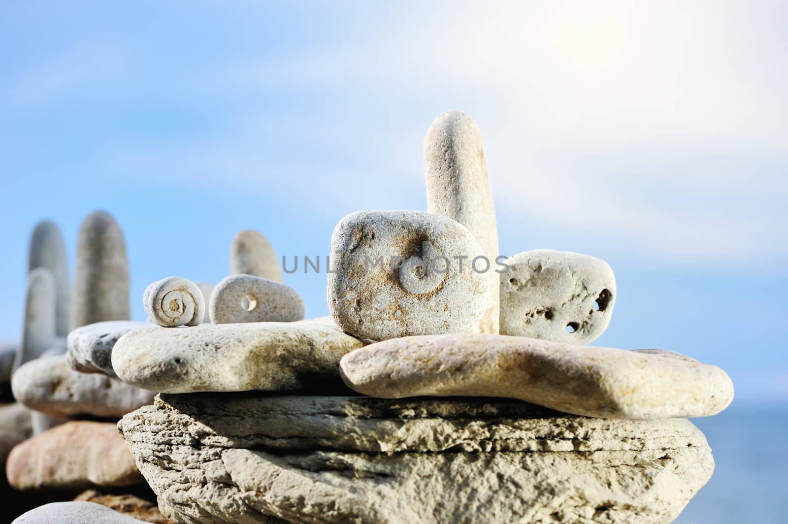 The structure of the spiral in some white stones