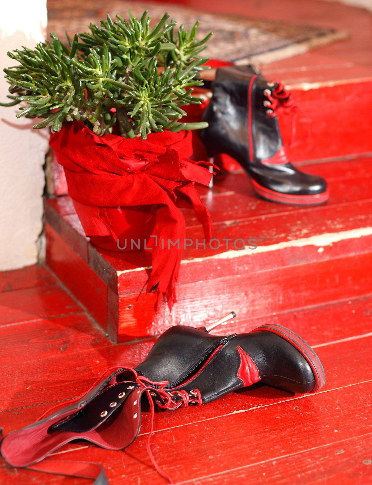 Female shoes on the floor near flowerpot
