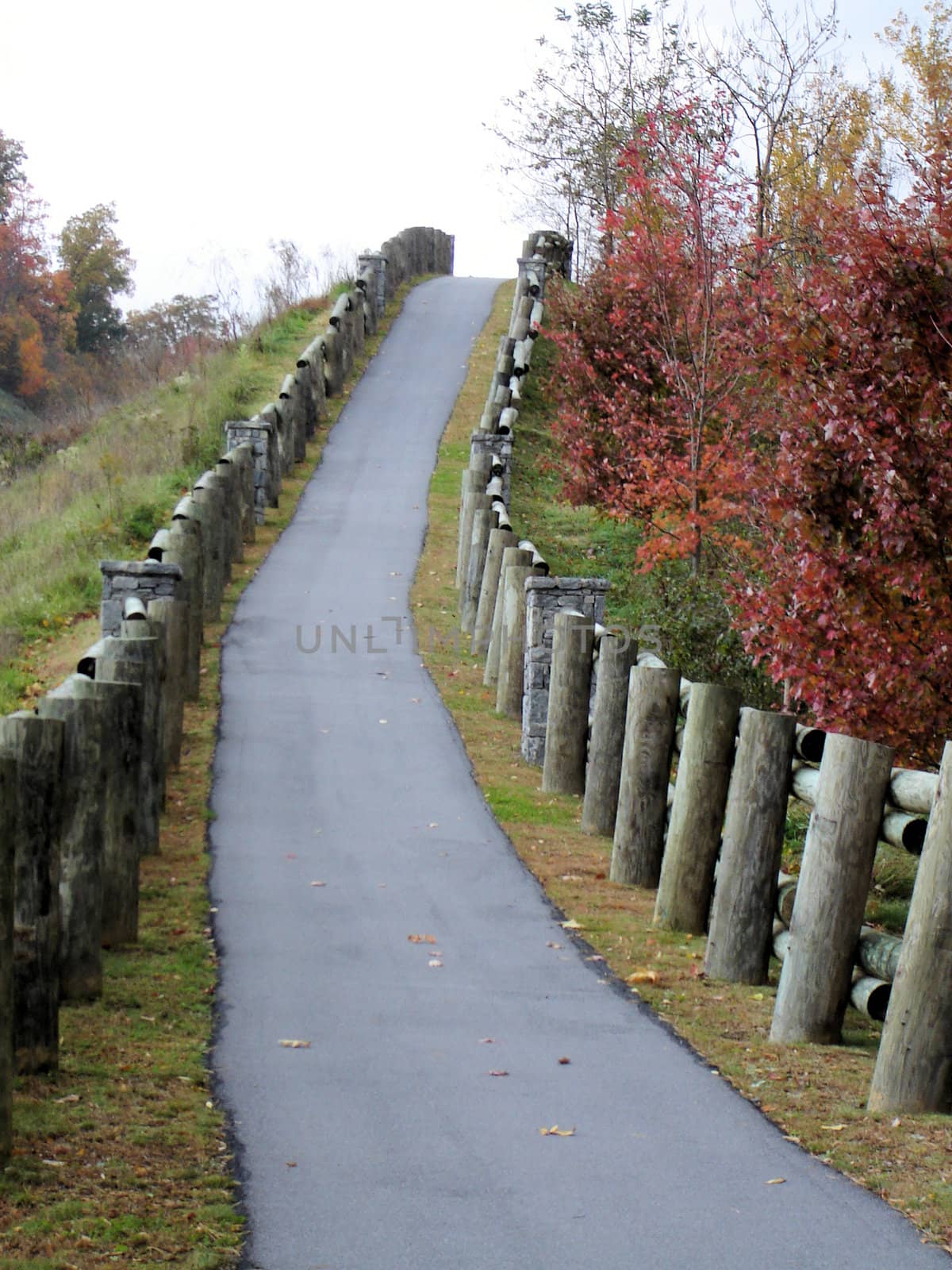 Asheville in the fall by RefocusPhoto